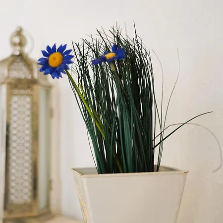 Dimora Arco Antico - Tesoro Nel Cuore Di Дом отдыха Остуни